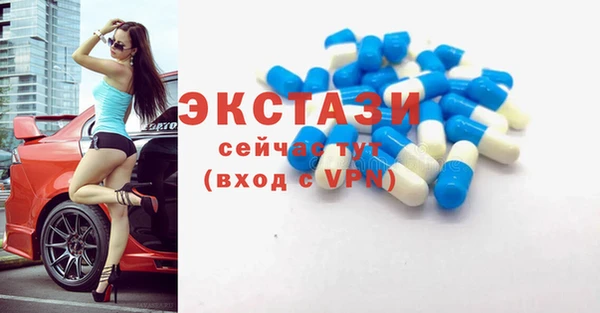 тгк Бородино