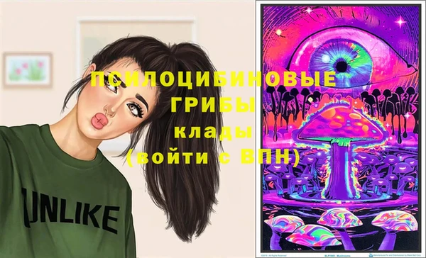 герыч Бронницы