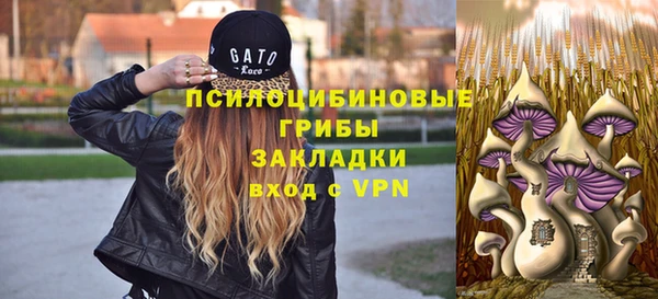 apvp Верея