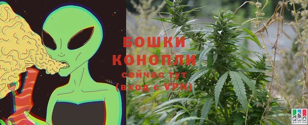 тгк Бородино