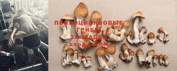 альфа пвп VHQ Болотное