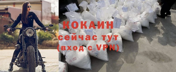 тгк Бородино