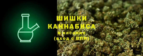 винт Белокуриха