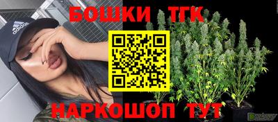 гидра Волгодонск