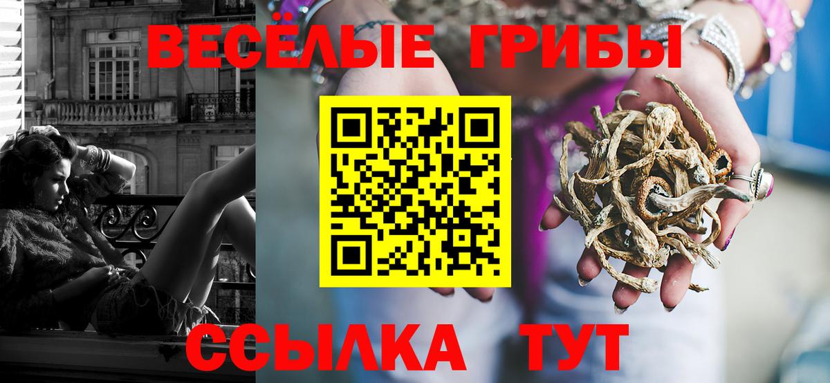 Верхняя Пышма  Псилоцибиновые грибы MAGIC MUSHROOMS  Вход с VPN 